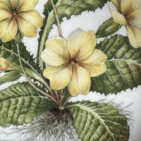 Royal Vale Primula Vulgaris Collector Plate Botanical Pattern Made in England - Picture 3 of 10